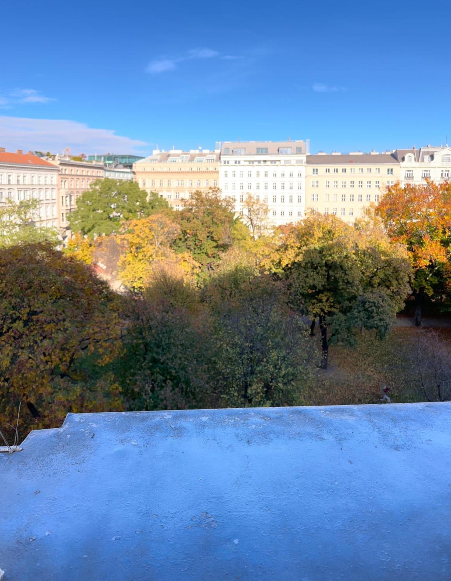 Parkview Rudolfsplatz Apartment Vienna Luaran gambar